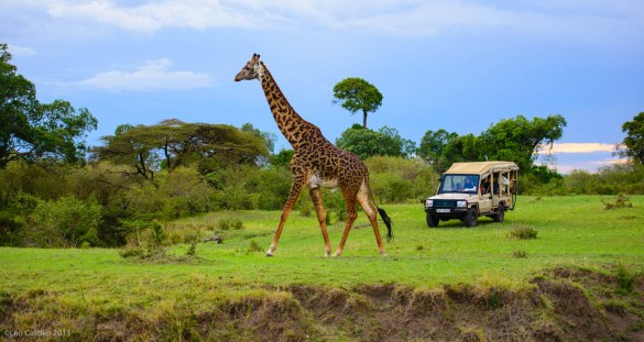 Kenya-Mara-20131123-PhotographybyLeoCastillo-LEO_5435